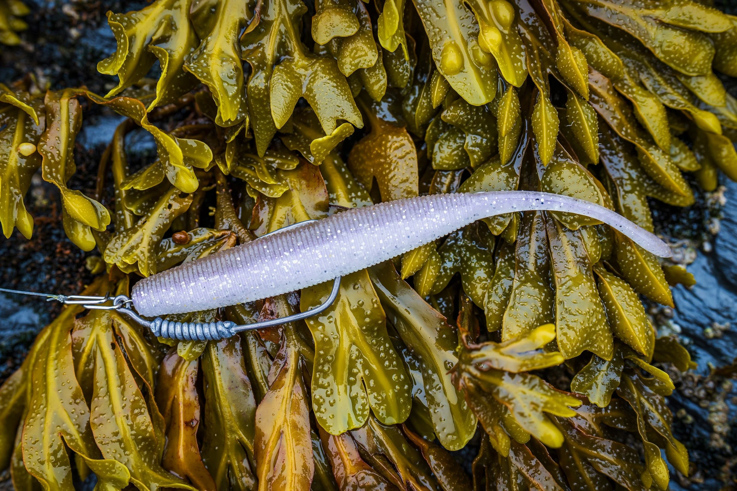 GRASS Silvy 　SaltWater Moving a little bit of weight to the front with some of these